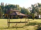 Día de campo en Chascomús