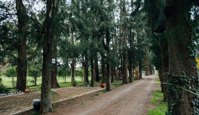 Complejo La Grulla, Cabaña en Chascomús