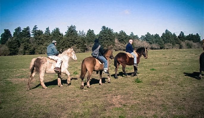 Estancia Laguna Vitel, Cabaña en Chascomús