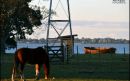 La Alameda, Estancia en Chascomús