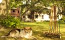 La Horqueta, Estancia en Chascomús