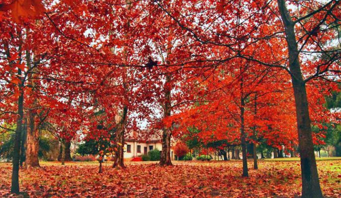 La Horqueta, Estancia en Chascomús